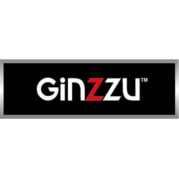 лого Ремонт холодильников Ginzzu
