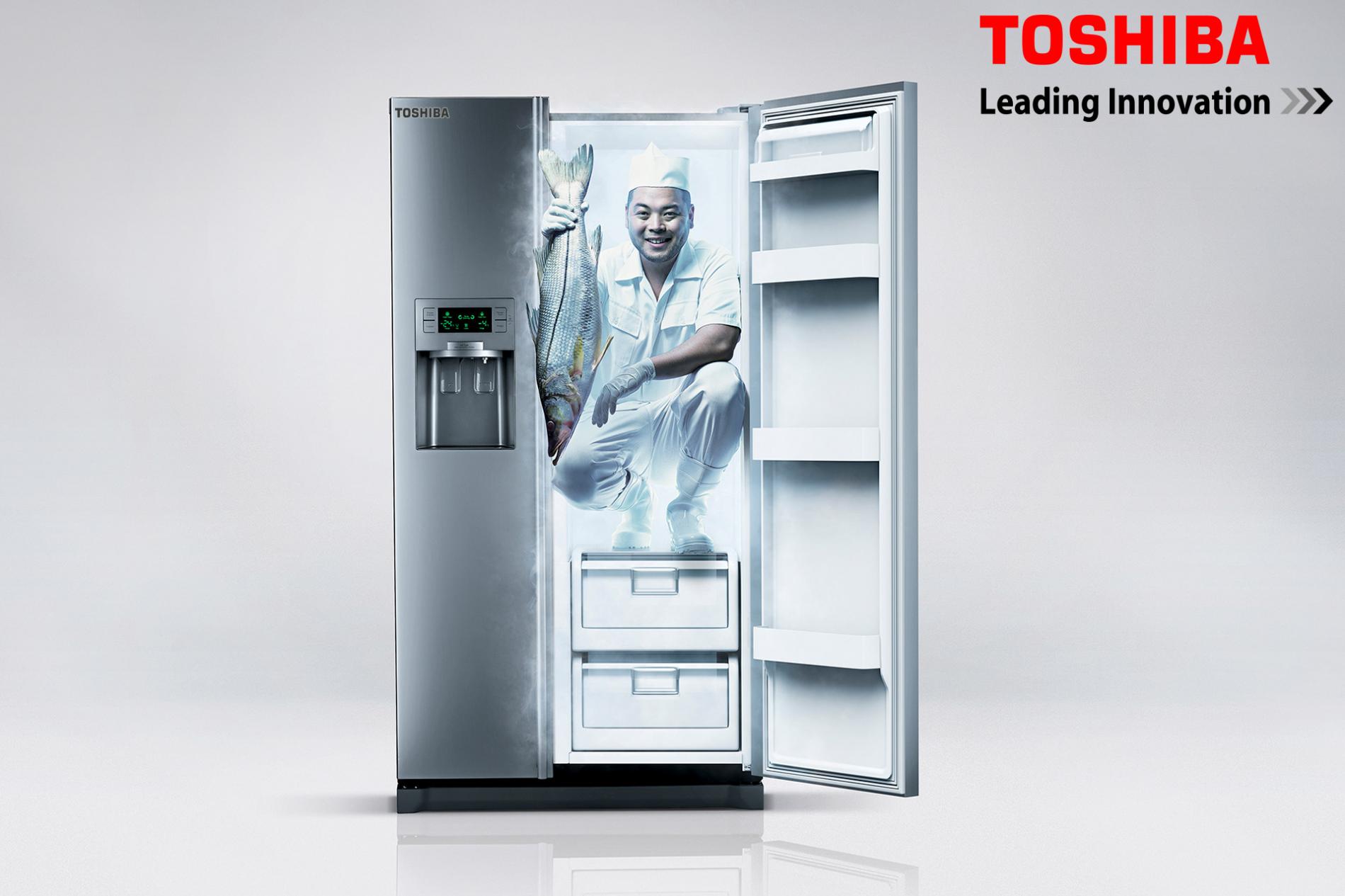 Ремонт холодильников Toshiba но фрост