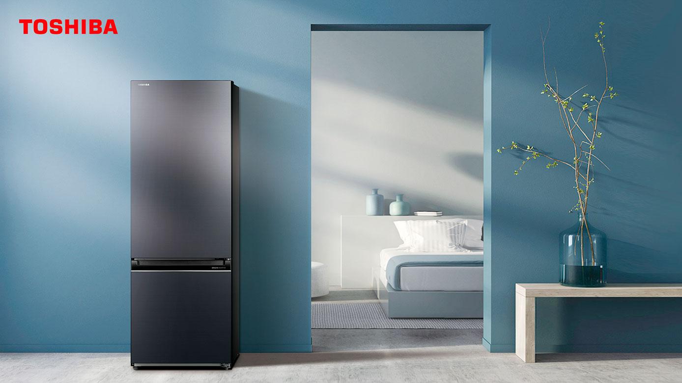 Ремонт холодильников Toshiba у Вас дома