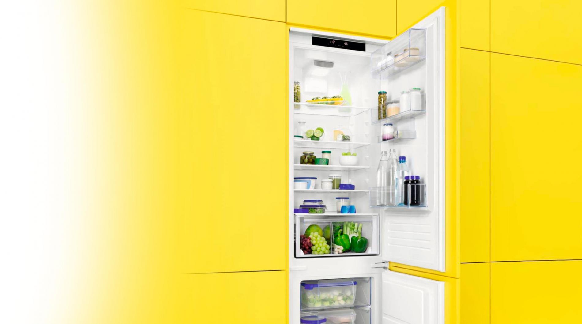 Ремонт встроенных холодильников Zanussi